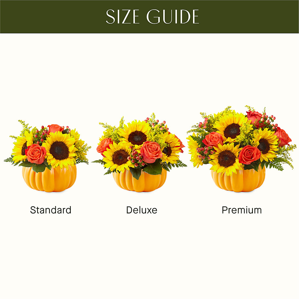Pick of the Patch Pumpkin Bouquet – TED & DEBBIE'S FLOWER & GARDEN CENTER, Tulsa OK
