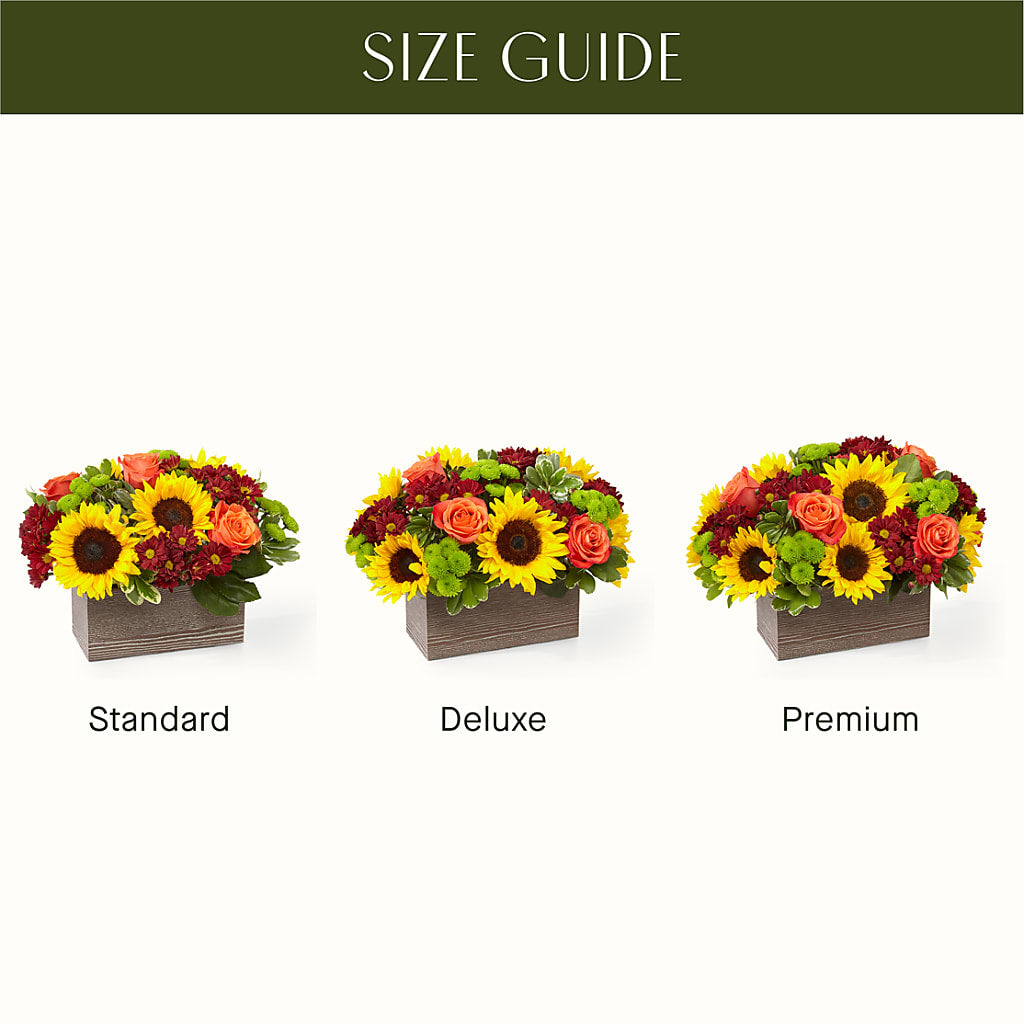 Happy Harvest Garden – TED & DEBBIE'S FLOWER & GARDEN CENTER, Tulsa OK