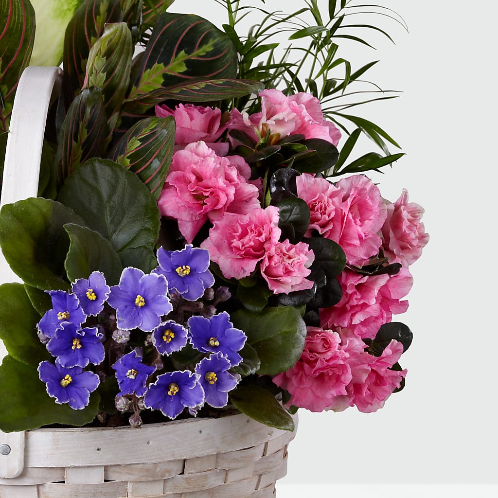 Peaceful Garden Planter – TED & DEBBIE'S FLOWER & GARDEN CENTER, Tulsa OK