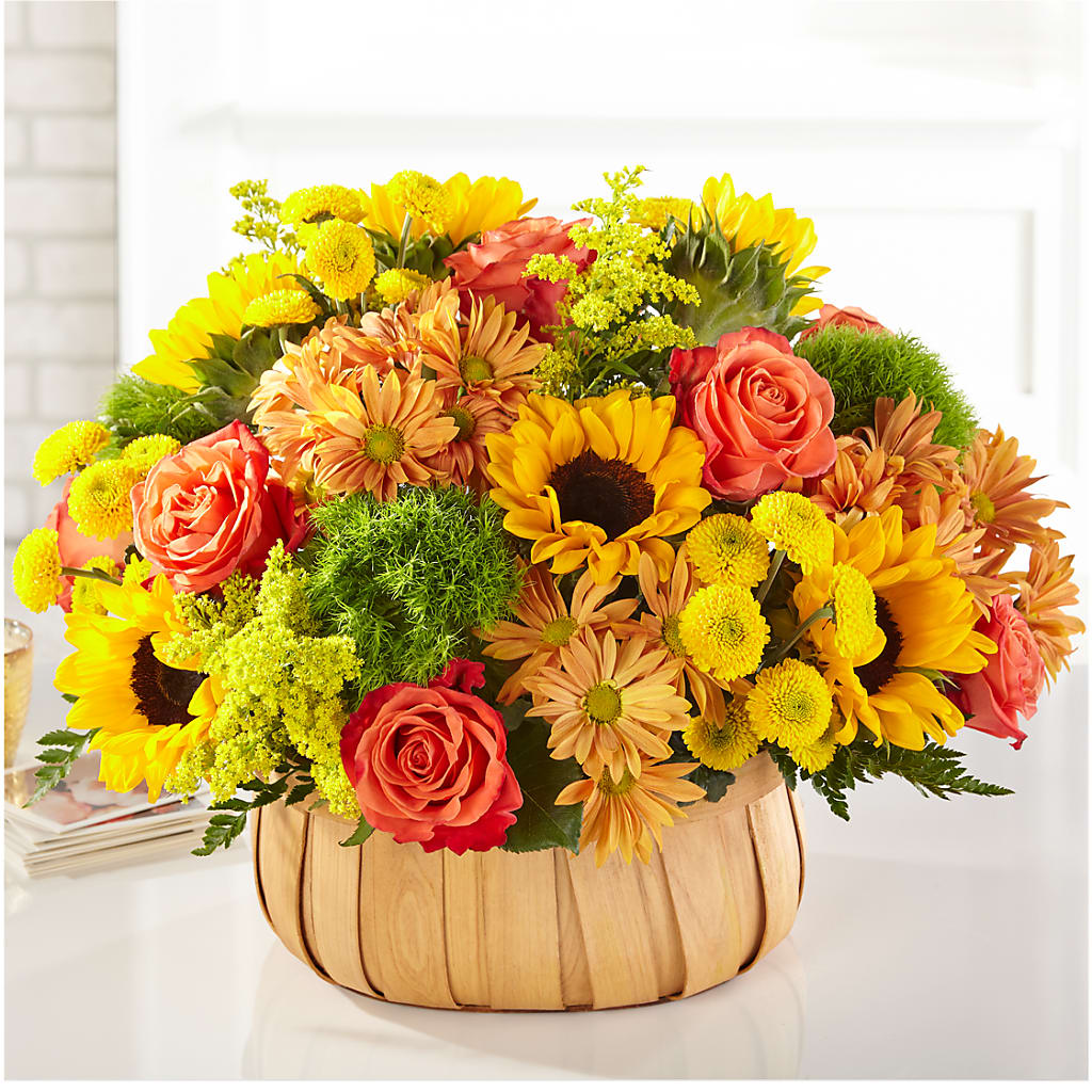Harvest Sunflower Basket – TED & DEBBIE'S FLOWER & GARDEN CENTER, Tulsa OK