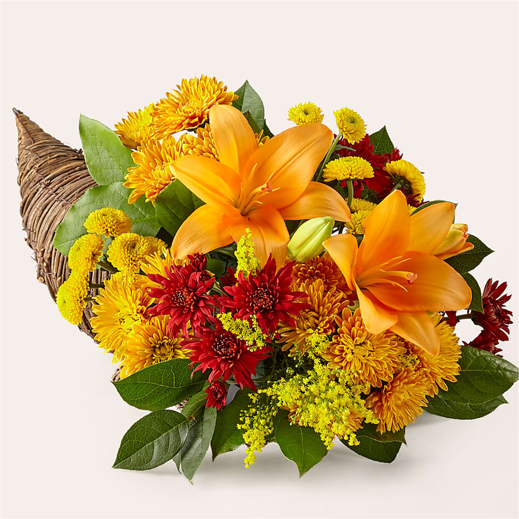 Feast of Color Cornucopia – TED & DEBBIE'S FLOWER & GARDEN CENTER, Tulsa OK