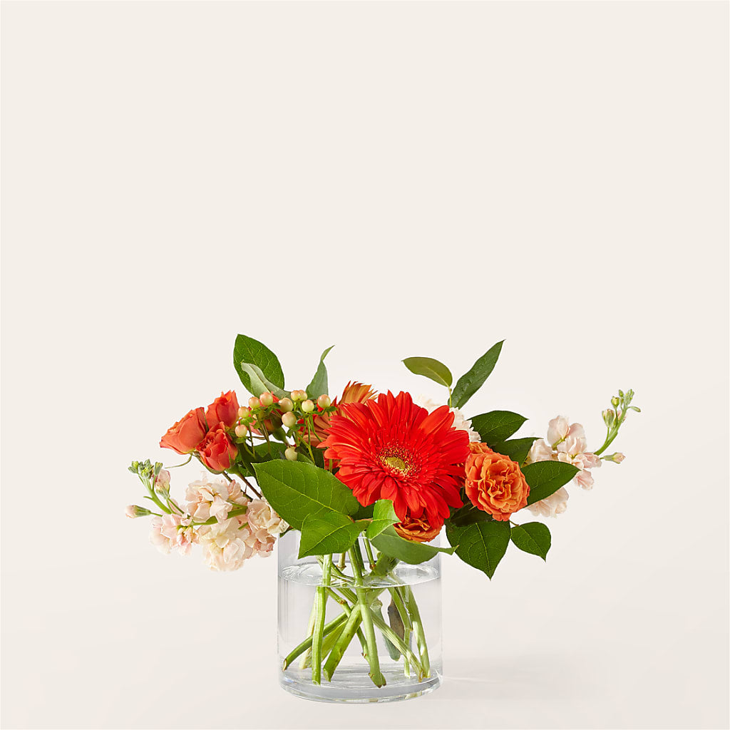 Paloma Please Bouquet – TED & DEBBIE'S FLOWER & GARDEN CENTER, Tulsa OK