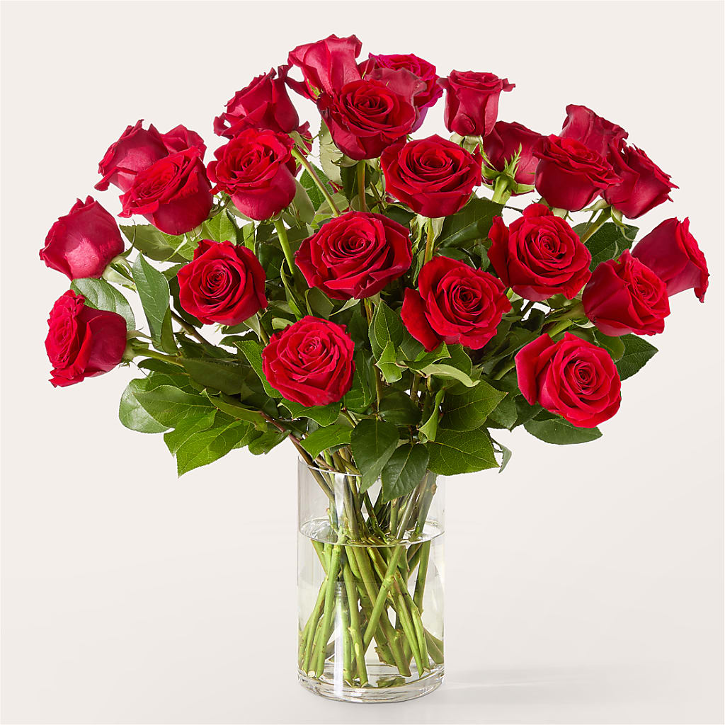 The One Red Rose Bouquet – TED & DEBBIE'S FLOWER & GARDEN CENTER, Tulsa OK