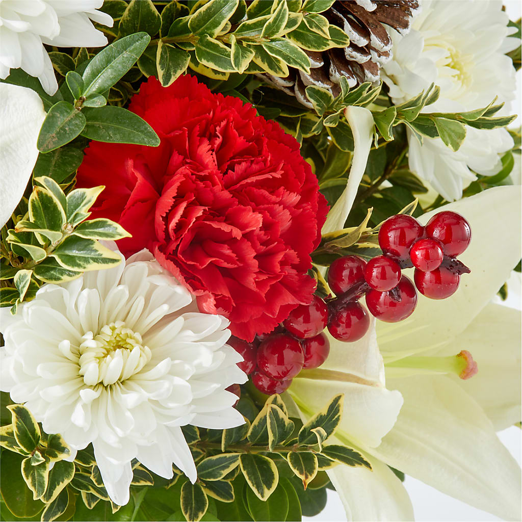 Festive Moments Tree – TED & DEBBIE'S FLOWER & GARDEN CENTER, Tulsa OK