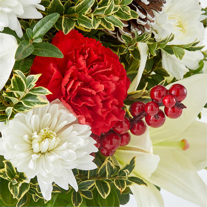 Festive Moments Tree – TED & DEBBIE'S FLOWER & GARDEN CENTER, Tulsa OK