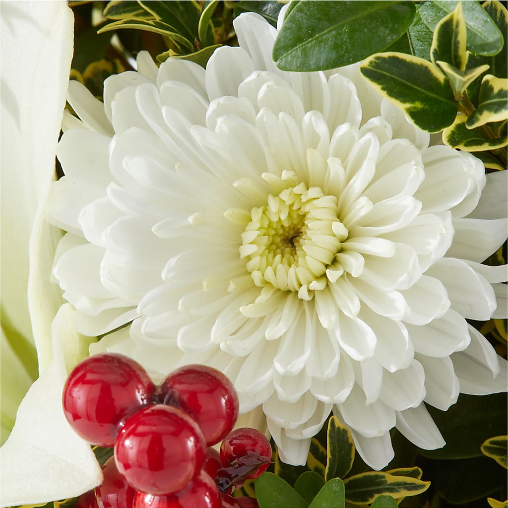 Festive Moments Tree – TED & DEBBIE'S FLOWER & GARDEN CENTER, Tulsa OK