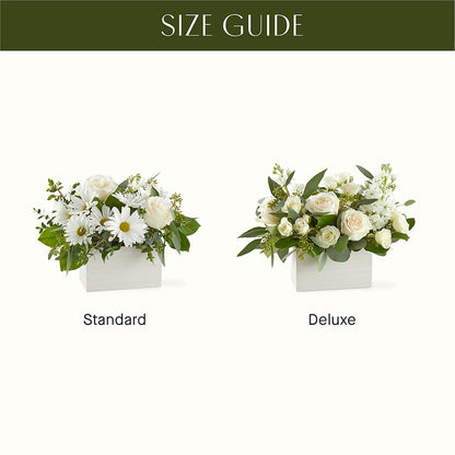 Fresh Linen Box Bouquet – TED & DEBBIE'S FLOWER & GARDEN CENTER, Tulsa OK