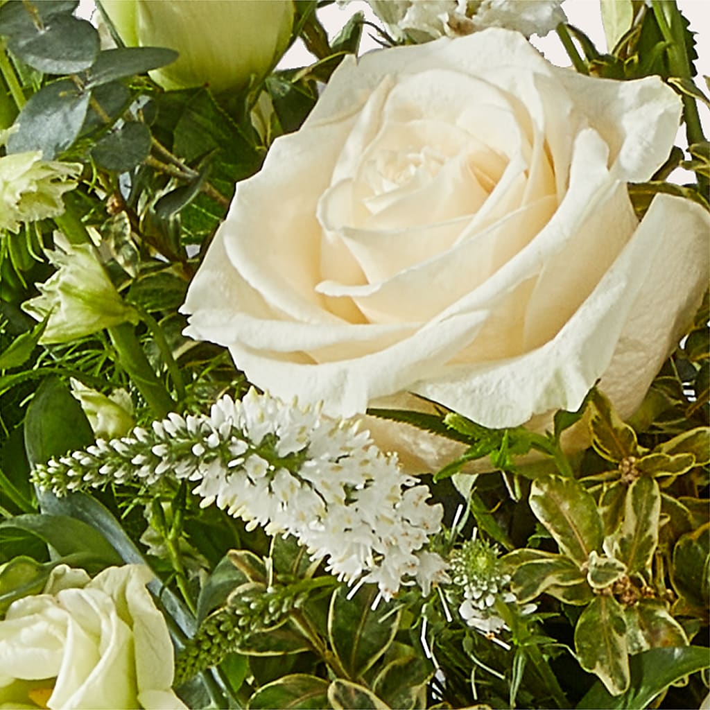 Cashmere Bouquet – TED & DEBBIE'S FLOWER & GARDEN CENTER, Tulsa OK