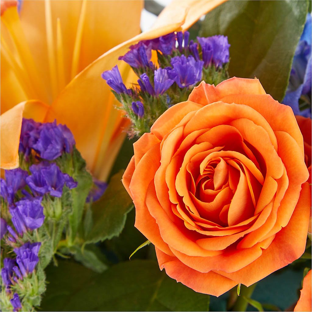 Radiant Citrus Box Bouquet – TED & DEBBIE'S FLOWER & GARDEN CENTER, Tulsa OK