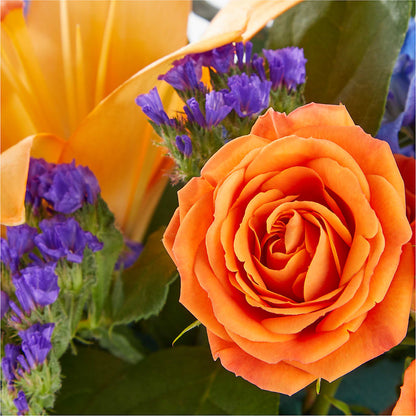 Radiant Citrus Box Bouquet – TED & DEBBIE'S FLOWER & GARDEN CENTER, Tulsa OK