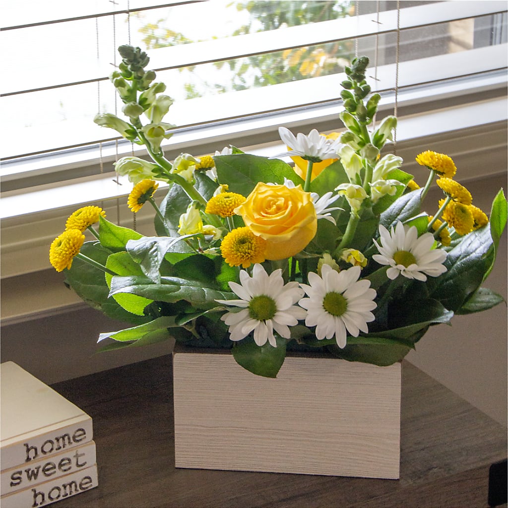 Sun Salutation Box Bouquet – TED & DEBBIE'S FLOWER & GARDEN CENTER, Tulsa OK