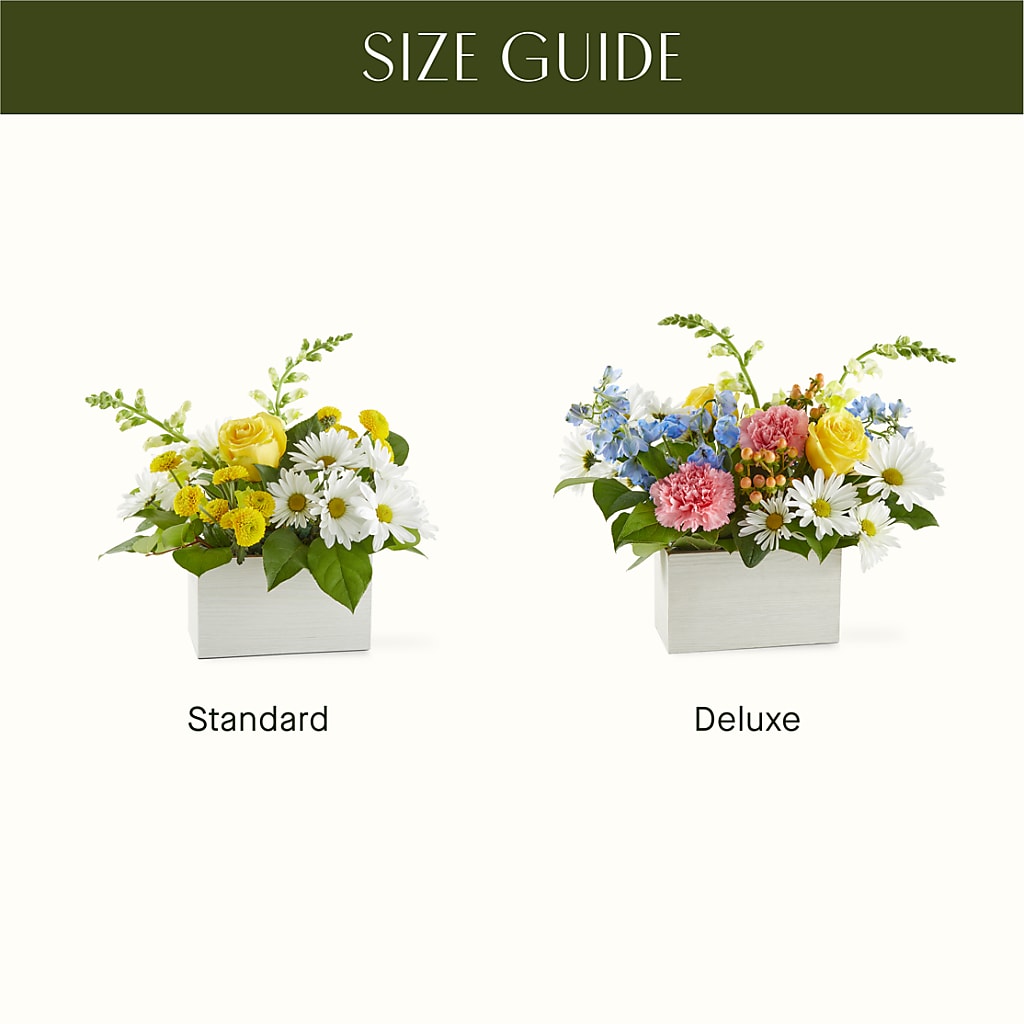 Sun Salutation Box Bouquet – TED & DEBBIE'S FLOWER & GARDEN CENTER, Tulsa OK