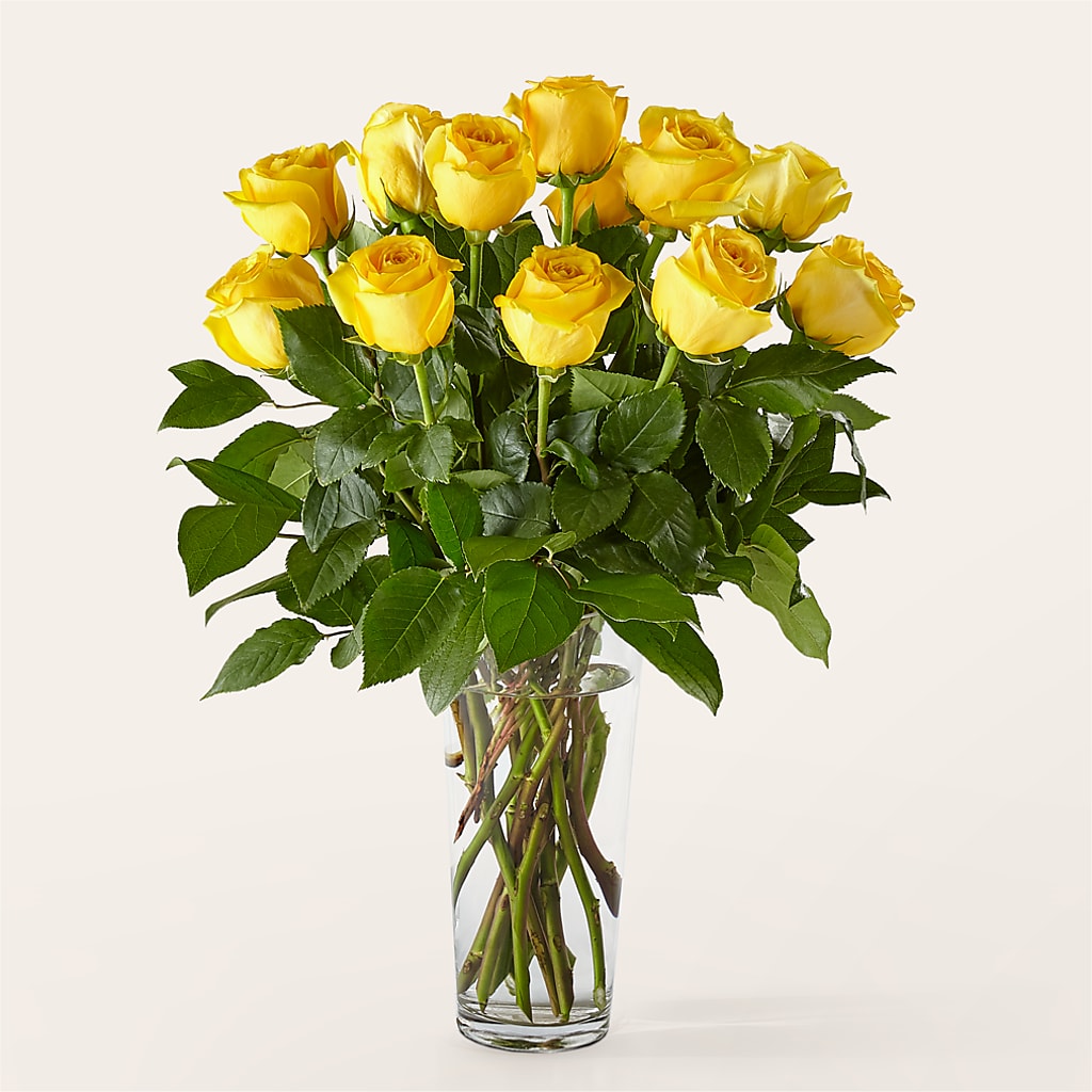 Long Stem Yellow Rose Bouquet – TED & DEBBIE'S FLOWER & GARDEN CENTER, Tulsa OK