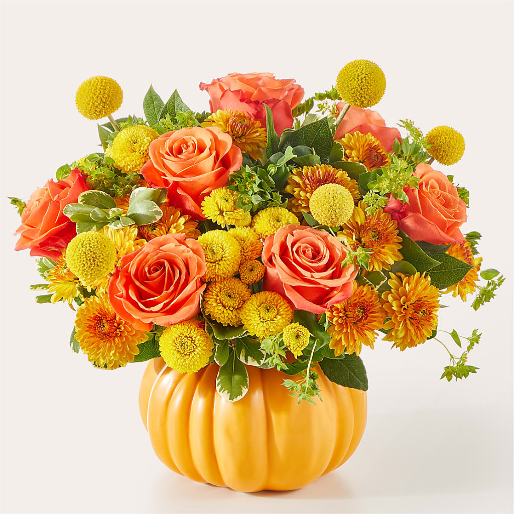 Calabaza maravillosa