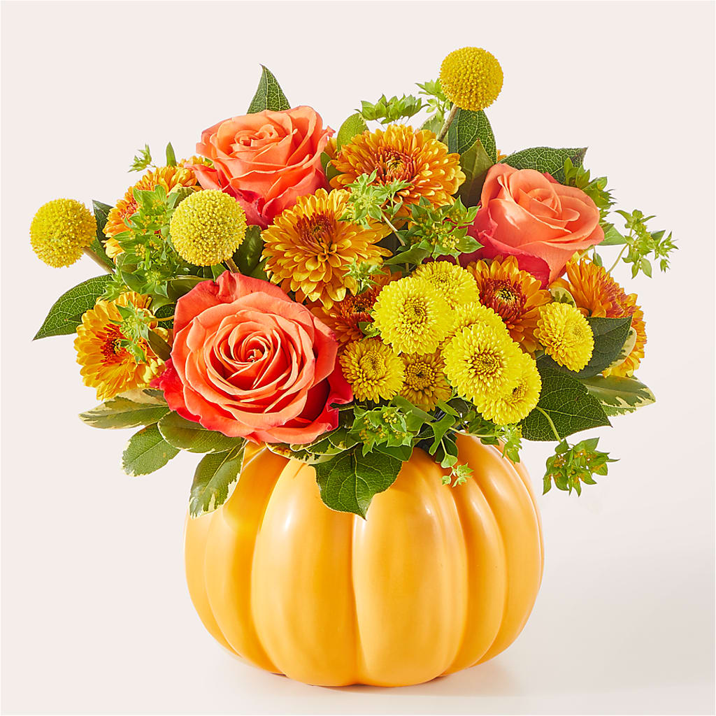 Calabaza maravillosa