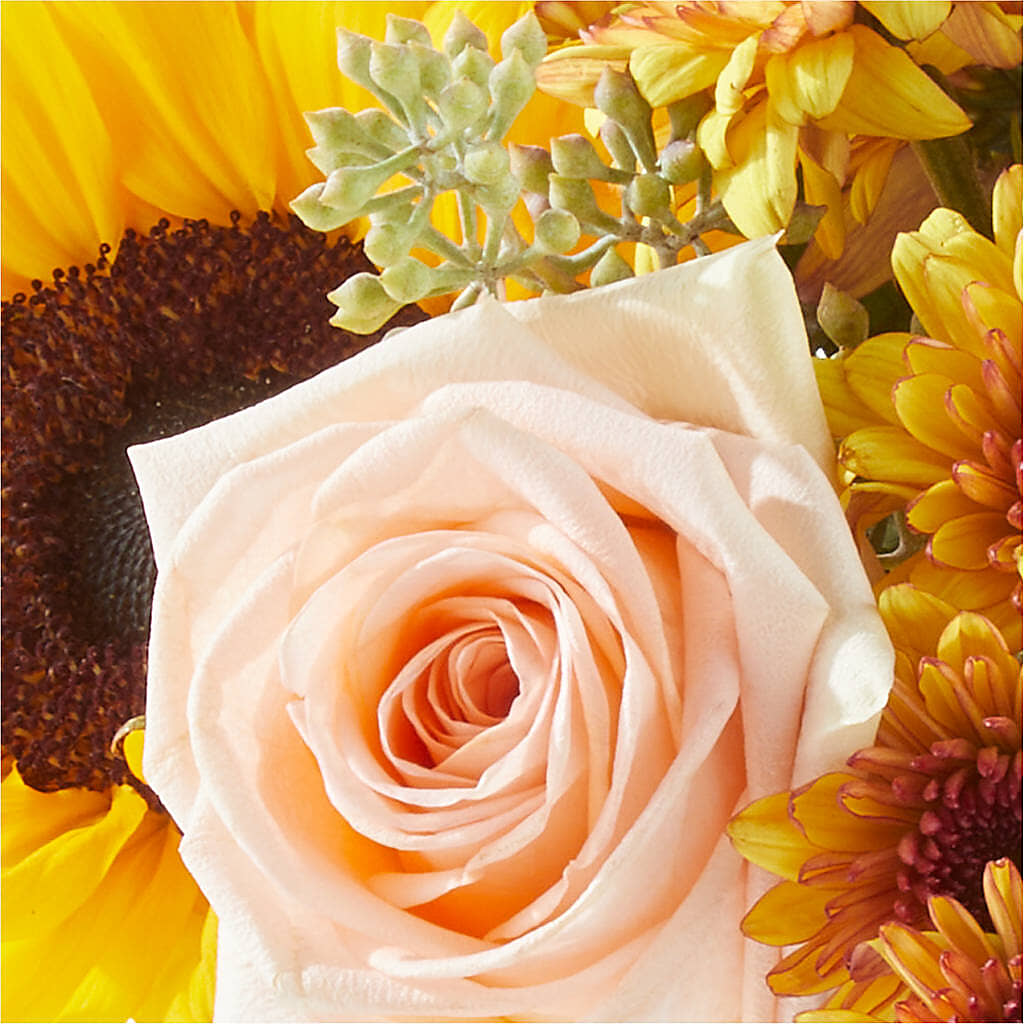 Pumpkin to Talk About Bouquet – TED & DEBBIE'S FLOWER & GARDEN CENTER, Tulsa OK