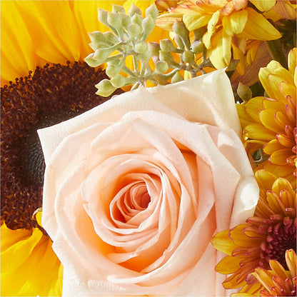 Pumpkin to Talk About Bouquet – TED & DEBBIE'S FLOWER & GARDEN CENTER, Tulsa OK