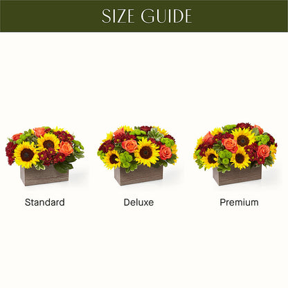 Happy Harvest Garden – TED & DEBBIE'S FLOWER & GARDEN CENTER, Tulsa OK