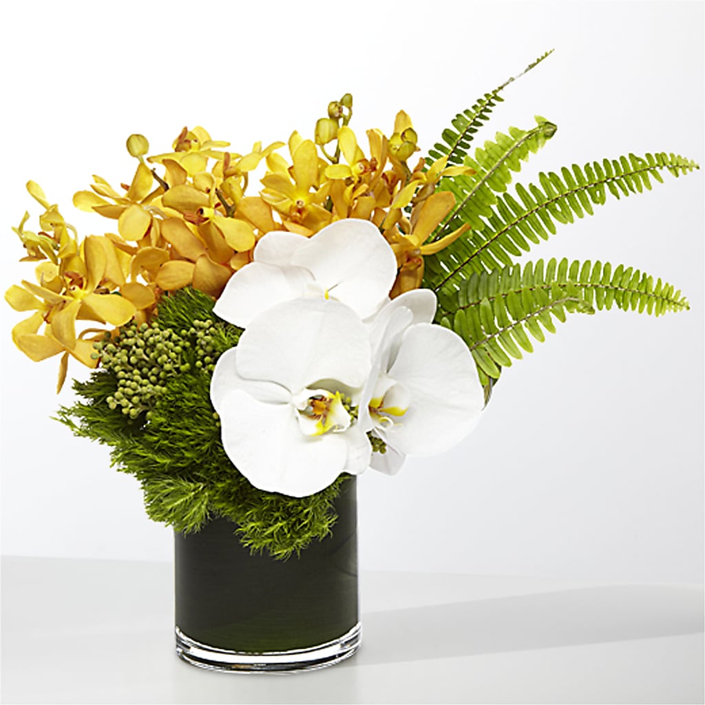 The Tropics – TED & DEBBIE'S FLOWER & GARDEN CENTER, Tulsa OK