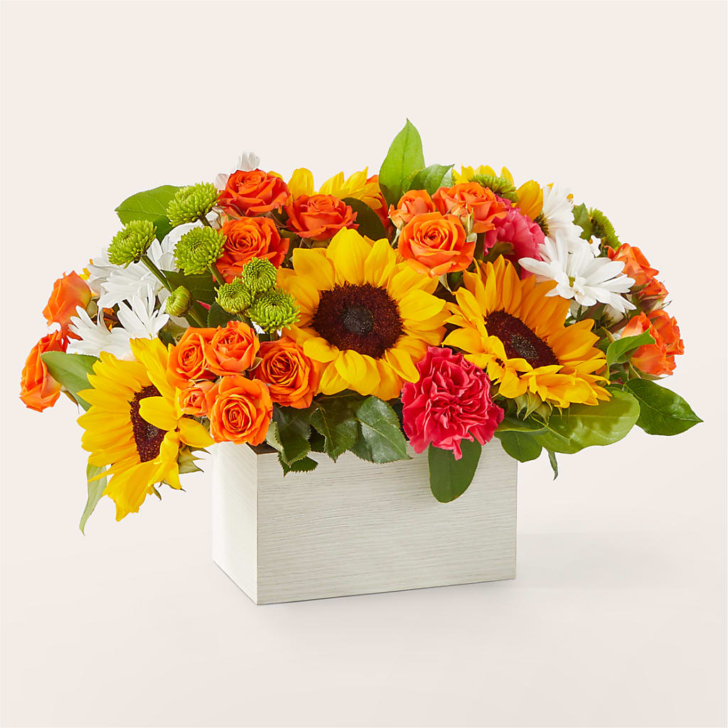 Sun-drenched Blooms Box Bouquet – TED & DEBBIE'S FLOWER & GARDEN CENTER, Tulsa OK