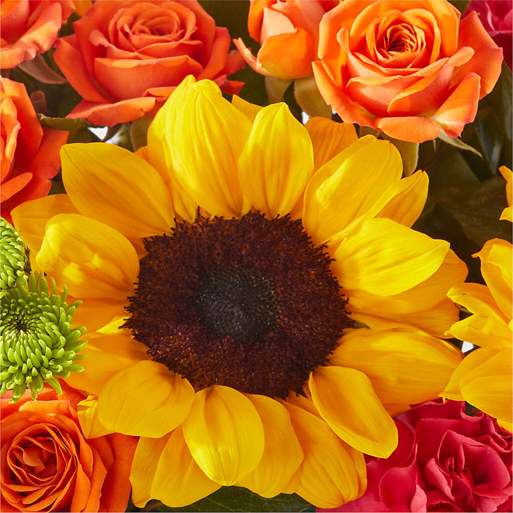 Sun-drenched Blooms Box Bouquet – TED & DEBBIE'S FLOWER & GARDEN CENTER, Tulsa OK