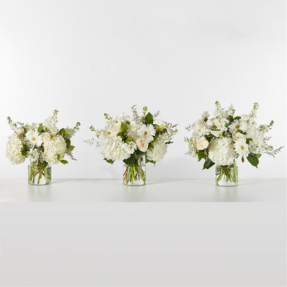 Sun-drenched Blooms Box Bouquet – TED & DEBBIE'S FLOWER & GARDEN CENTER, Tulsa OK