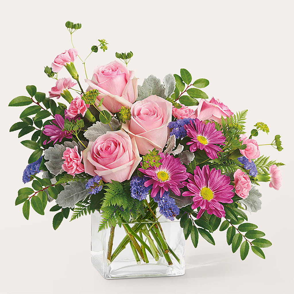 Bouquet de starlettes