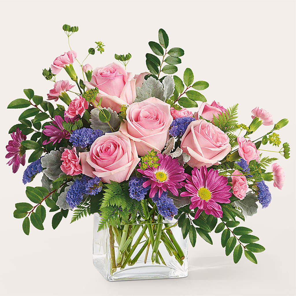 Bouquet de starlettes