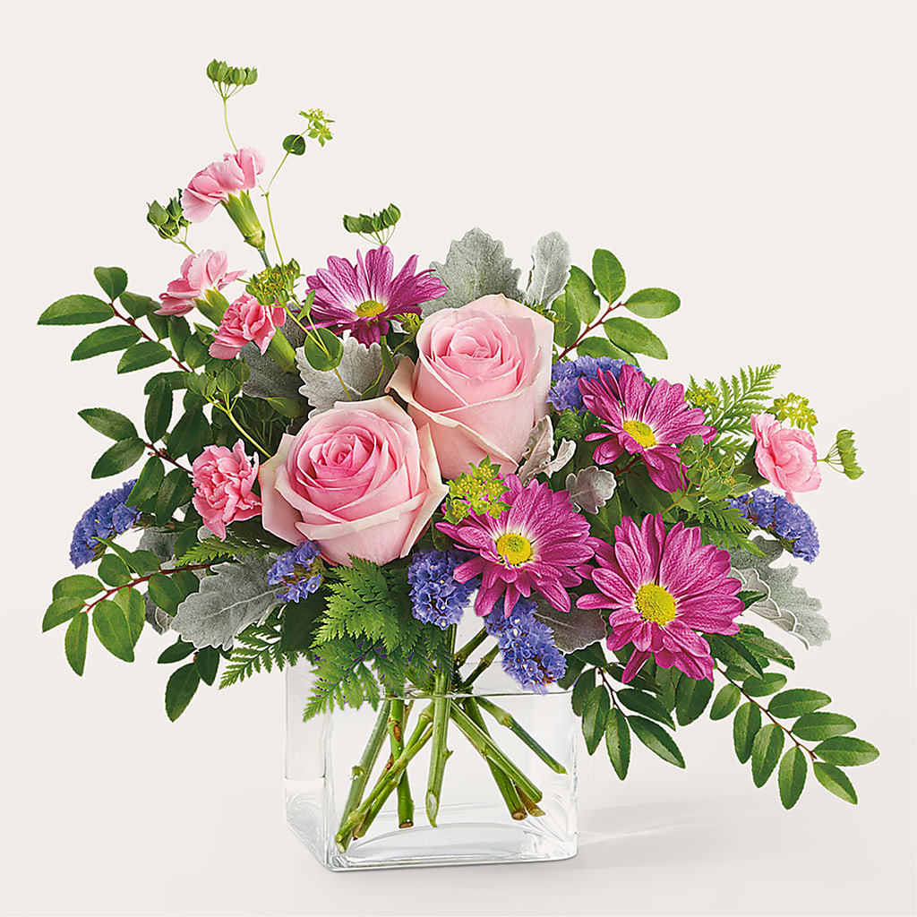 Bouquet de starlettes