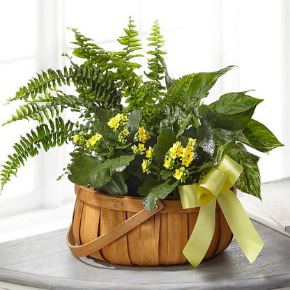 Always Dear Dishgarden – TED & DEBBIE'S FLOWER & GARDEN CENTER, Tulsa OK