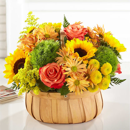 Harvest Sunflower Basket – TED & DEBBIE'S FLOWER & GARDEN CENTER, Tulsa OK