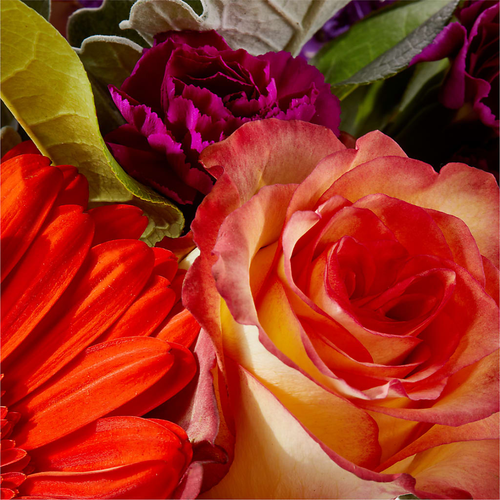 Sangria Bouquet – TED & DEBBIE'S FLOWER & GARDEN CENTER, Tulsa OK