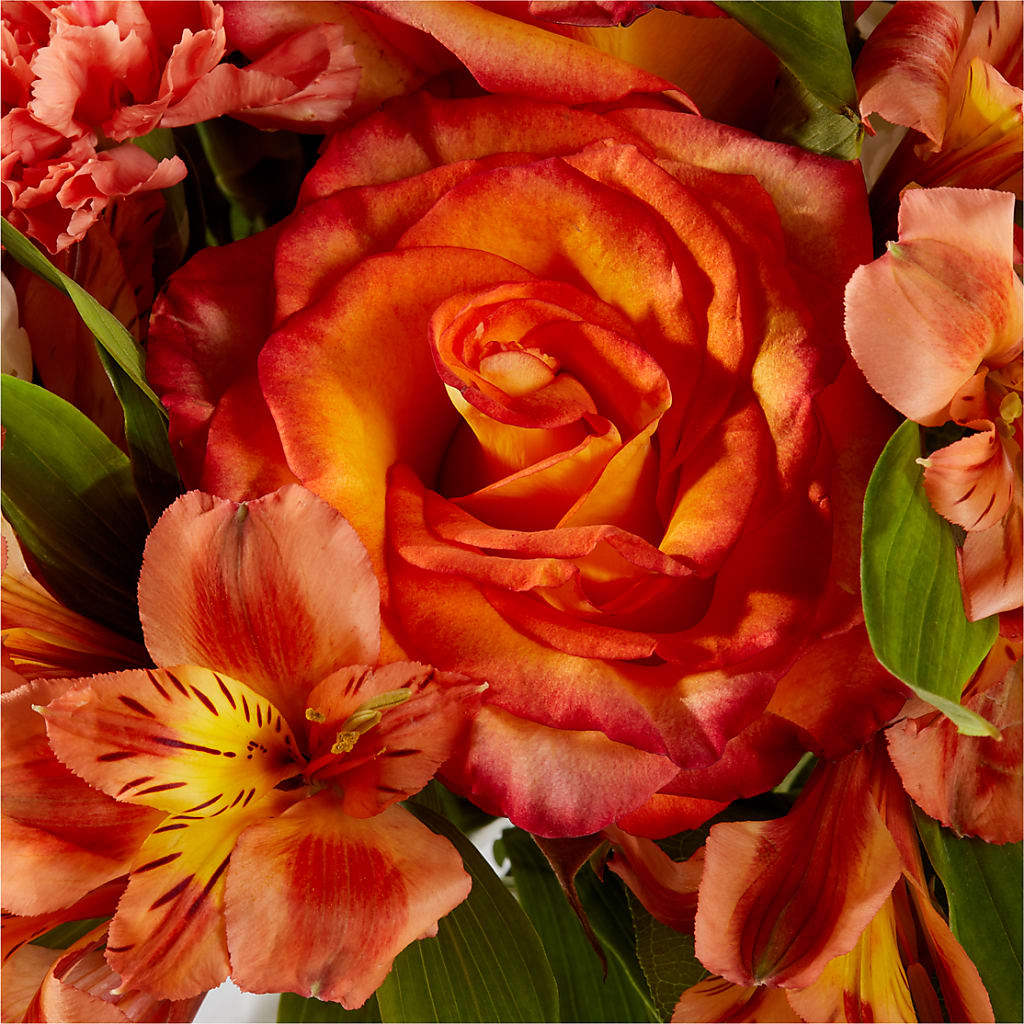 Apricot Glow Bouquet – TED & DEBBIE'S FLOWER & GARDEN CENTER, Tulsa OK