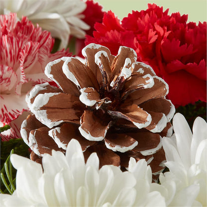 Candy Cane Lane Bouquet – TED & DEBBIE'S FLOWER & GARDEN CENTER, Tulsa OK
