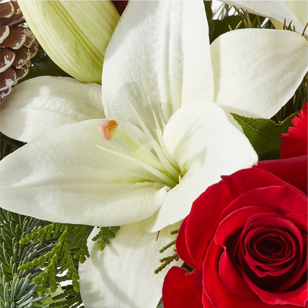 Oh So Jolly Bouquet – TED & DEBBIE'S FLOWER & GARDEN CENTER, Tulsa OK