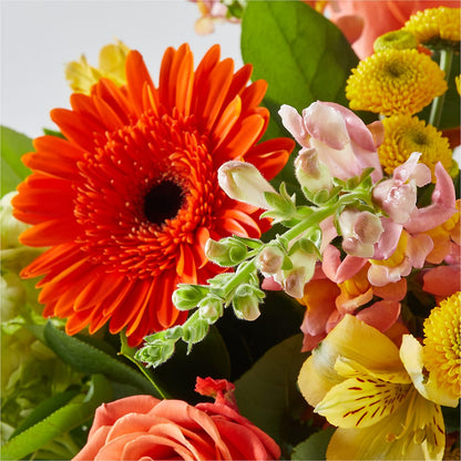 Autumn Sunshine Bouquet – TED & DEBBIE'S FLOWER & GARDEN CENTER, Tulsa OK