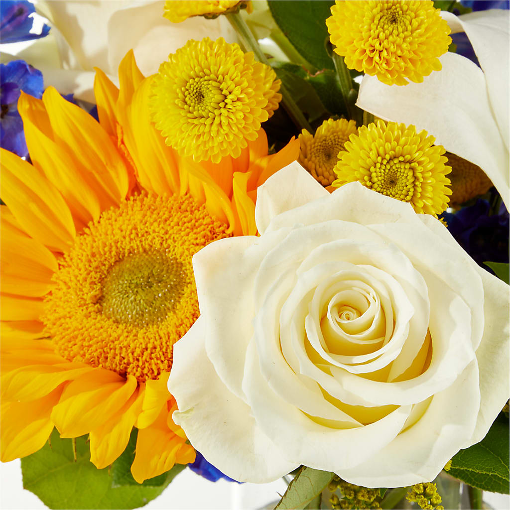 Stargazing Bouquet – TED & DEBBIE'S FLOWER & GARDEN CENTER, Tulsa OK