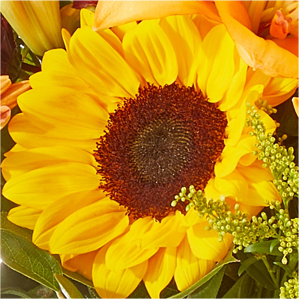 Seasons Change Bouquet – TED & DEBBIE'S FLOWER & GARDEN CENTER, Tulsa OK