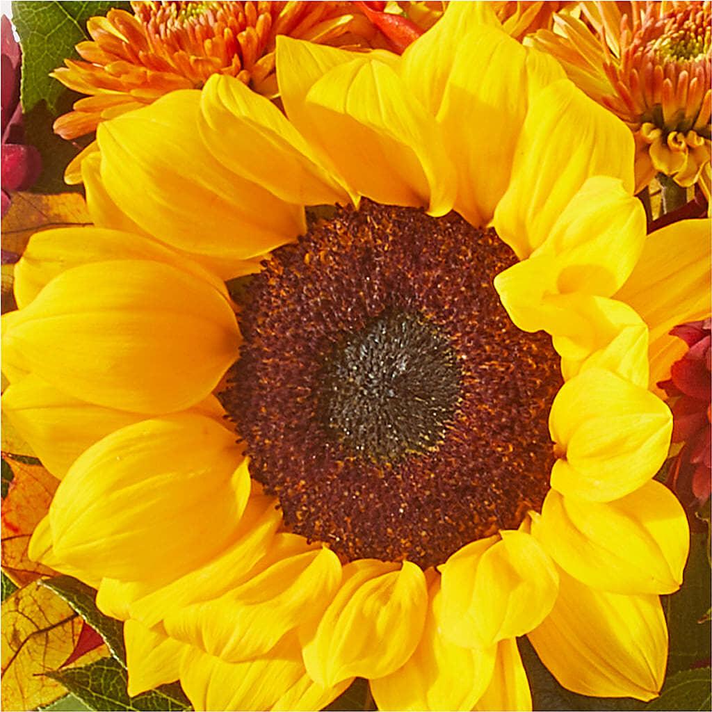 Sunny Side Bouquet – TED & DEBBIE'S FLOWER & GARDEN CENTER, Tulsa OK