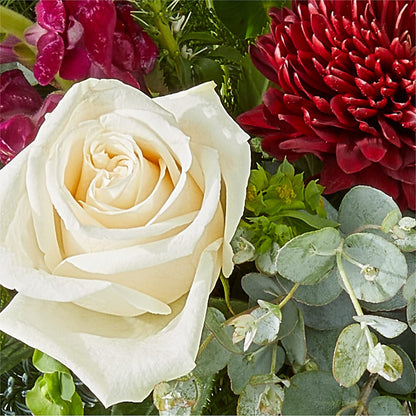 Cranberry Fizz Bouquet – TED & DEBBIE'S FLOWER & GARDEN CENTER, Tulsa OK