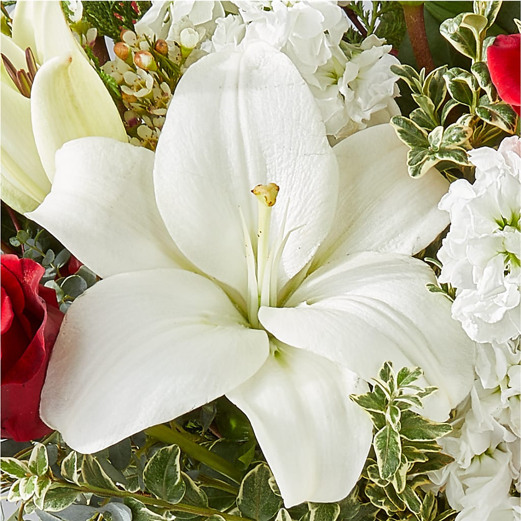 Twinkle Lights Bouquet – TED & DEBBIE'S FLOWER & GARDEN CENTER, Tulsa OK