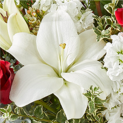 Twinkle Lights Bouquet – TED & DEBBIE'S FLOWER & GARDEN CENTER, Tulsa OK