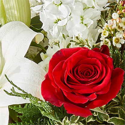 Twinkle Lights Bouquet – TED & DEBBIE'S FLOWER & GARDEN CENTER, Tulsa OK