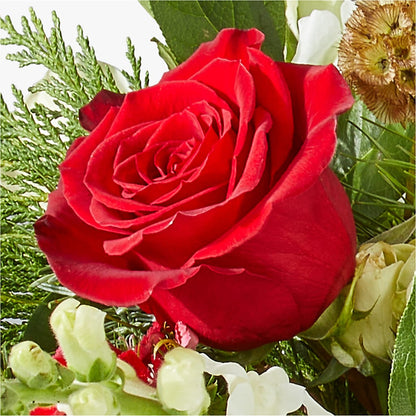 Deck the Halls Bouquet – TED & DEBBIE'S FLOWER & GARDEN CENTER, Tulsa OK
