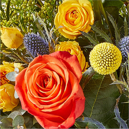 Disco Bouquet – TED & DEBBIE'S FLOWER & GARDEN CENTER, Tulsa OK