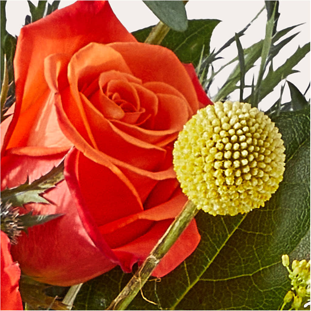 Disco Bouquet – TED & DEBBIE'S FLOWER & GARDEN CENTER, Tulsa OK