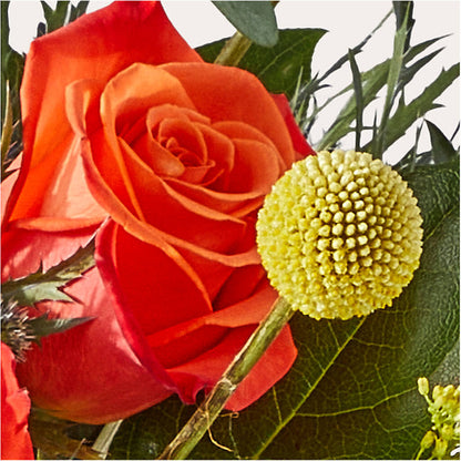 Disco Bouquet – TED & DEBBIE'S FLOWER & GARDEN CENTER, Tulsa OK