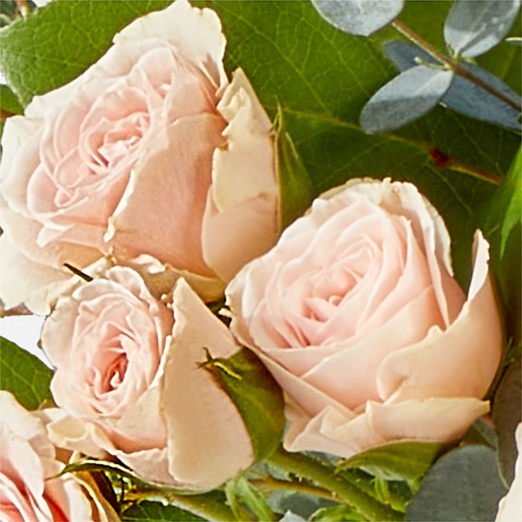 Inspired Bouquet – TED & DEBBIE'S FLOWER & GARDEN CENTER, Tulsa OK