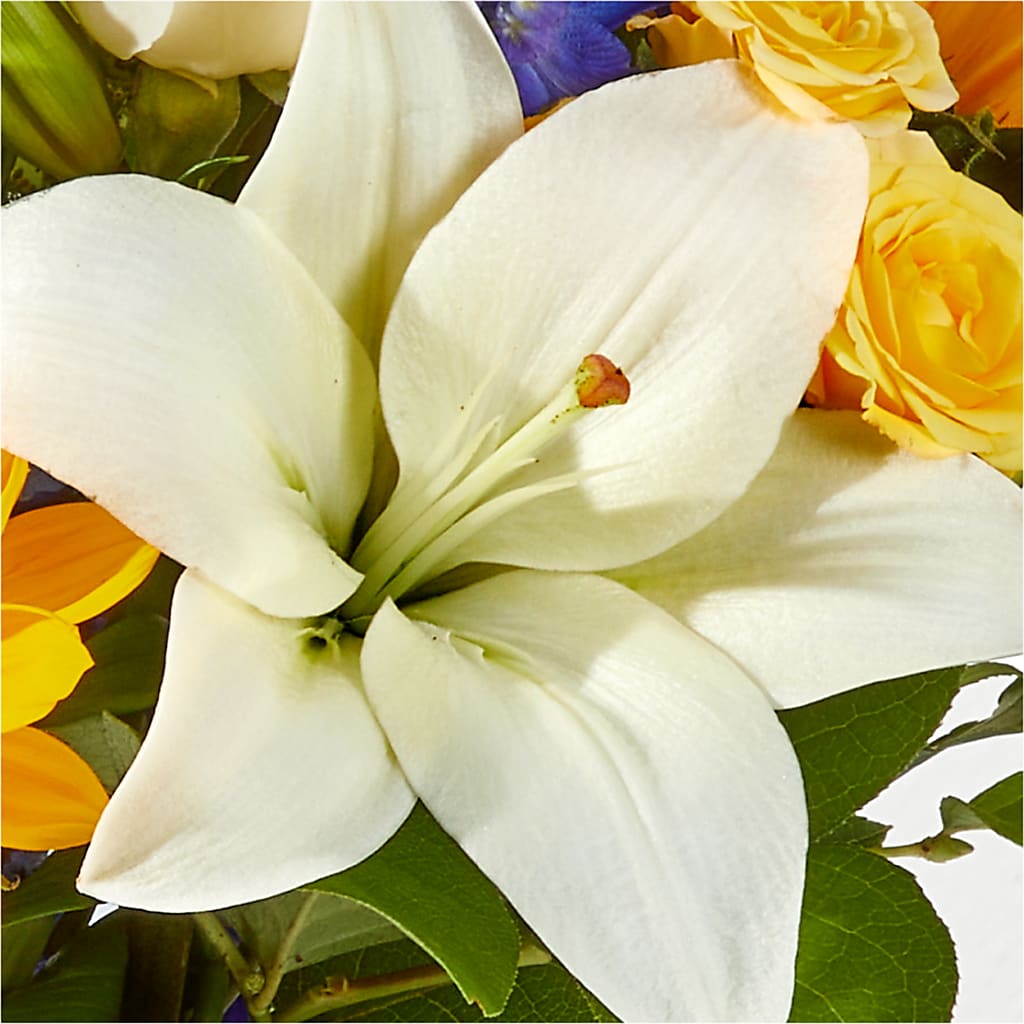 Wonderfully Sunny Bouquet – TED & DEBBIE'S FLOWER & GARDEN CENTER, Tulsa OK